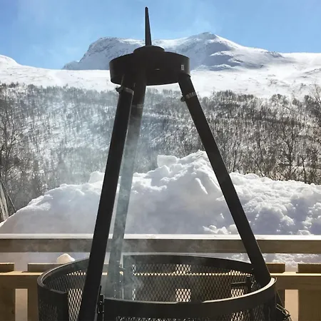 Fantastisk 3 Roms Bolig I Uvdal